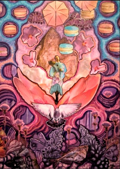 Home Taubentanz mit Maccarons