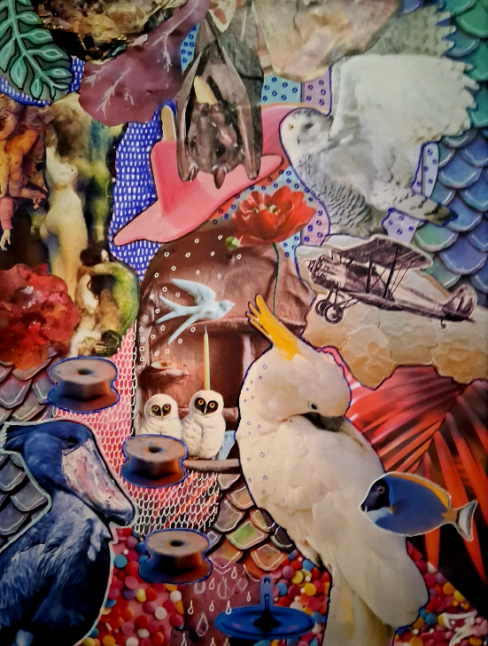 Home Fliegen und Schwimmen